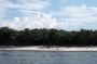 Amazonas06 - 221 * We stopped at this beach above Moura for a swim in the tea-colored waters of the Rio Negro.